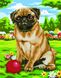 Алмазная картина Игра с собакой (GZS1057) BrushMe (Без коробки) — фото комплектации набора