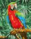 Раскраска по цифрам Радужный красавец (KH4473) Идейка — фото комплектации набора