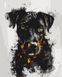 Картина по номерам Огненный пес (BSM-B53929) — фото комплектации набора