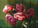 Картина за номерами на дереві Тюльпани (ASW212) ArtStory — фото комплектації набору