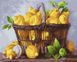 Картина Розмальовка Лимонний кошик (BRM37733) — фото комплектації набору