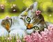 Картина за номерами Кошеня в квіточках (BRM34634) — фото комплектації набору