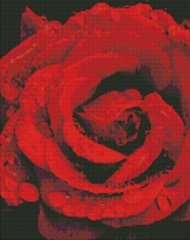 Картина стразами Троянда в діамантах Ідейка (AMO7501) фото інтернет-магазину Raskraski.com.ua