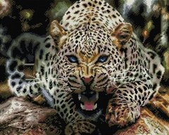 Алмазная живопись Взгляд леопарда ColorArt (CLR-PSP052, На подрамнике) фото интернет-магазина Raskraski.com.ua