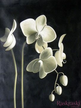 Алмазная живопись Цвет орхидеи ТМ Алмазная мозаика (DMF-115, На подрамнике) фото интернет-магазина Raskraski.com.ua