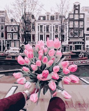 Картина за номерами Тюльпани Амстердама (BK-GX39540) (Без коробки)