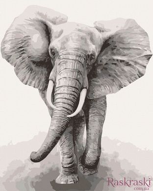 Раскраска по номерам Африканский слон (ACR-11629-AC) ArtCraft (Без коробки)