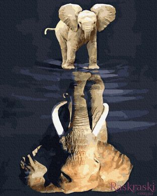 Картина Розмальовка Дух слона (BK-GX39274) (Без коробки)