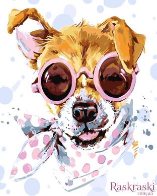Картина по номерам Собака в очках (SR-SS-6423) Strateg (Без коробки)