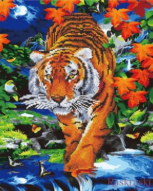 Алмазна картина Тигр на річці (BGZS1098) Rainbow Art фото інтернет-магазину Raskraski.com.ua