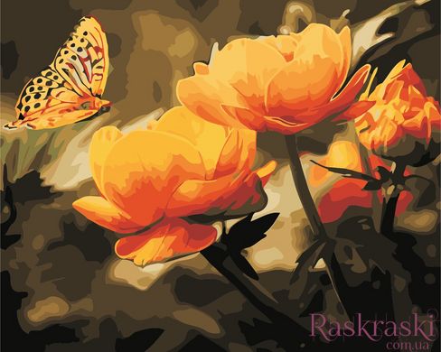 Картина по номерам Желтые цветы и бабочка (AS0351) ArtStory фото интернет-магазина Raskraski.com.ua
