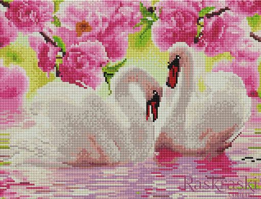 Алмазная живопись Пара лебедей в цветах ColorArt (CLR-PST453, На подрамнике) фото интернет-магазина Raskraski.com.ua