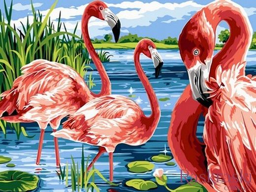 Картина по номерам Фламинго на озере (VK207) Babylon фото интернет-магазина Raskraski.com.ua