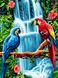 Раскраска по цифрам Пара попугаев (VK251) Babylon — фото комплектации набора