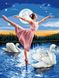 Картина алмазная вышивка Балерина и лебеди My Art (MRT-TN972, На подрамнике) — фото комплектации набора
