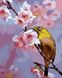 Розмальовка по номерах Пташка на яблуневій гілці (MR-Q703) Mariposa — фото комплектації набору