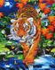 Алмазна картина Тигр на річці (BGZS1098) Rainbow Art — фото комплектації набору