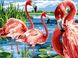 Картина по номерам Фламинго на озере (VK207) Babylon — фото комплектации набора