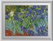 Картина з мозаїки Іриси ван гог Dream Art (DA-30610) — фото комплектації набору