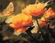 Картина за номерами Жовті квіти і метелик (AS0351) ArtStory — фото комплектації набору