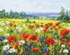 Картина за номерами Поле квітів (AS0546) ArtStory — фото комплектації набору
