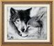 Картина алмазна вишивка Закохані вовки (повна зашивання, квадратні камені) Dream Art (DA-30081) — фото комплектації набору