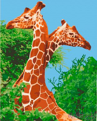 Картина за номерами Пара жирафів (ACR-11613-AC) ArtCraft (Без коробки)