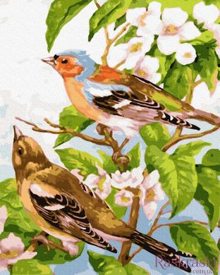Живопись по номерам Весенние птички (BK-GX32145) (Без коробки)