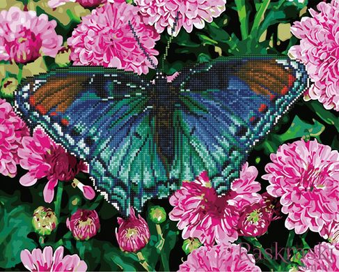 Алмазная картина Тропическая бабочка (GZS1032) Rainbow Art (Без коробки) фото интернет-магазина Raskraski.com.ua