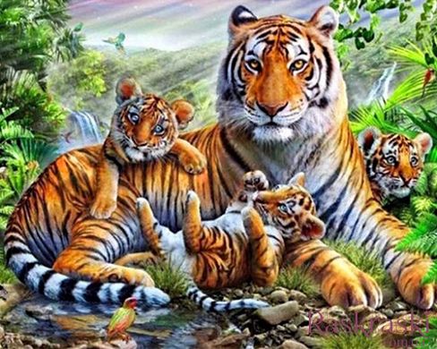 Картина з страз Тигриця з тигрятами My Art (MRT-TN1003) фото інтернет-магазину Raskraski.com.ua