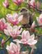 Картина по номерам Птицы и цветы (BRM24986) — фото комплектации набора