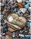 Картина раскраска Морские камни любви (BRM25850) — фото комплектации набора