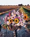 Картина за номерами Букет із польових квітів (BRM37846) — фото комплектації набору