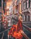Живопис по номерам Розкішний вечір у Венеції (BRM41863) — фото комплектації набору