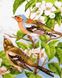 Живопись по номерам Весенние птички (BK-GX32145) (Без коробки)