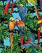 Алмазная картина Попугаи (BGZS1146) НикиТошка — фото комплектации набора