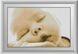 Картина з страз Мамина ніжність Dream Art (DA-30356) — фото комплектації набору