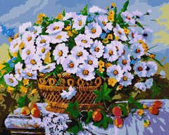 Картина по номерам Летние цветы ©Александр Закусилов (KHO3118) Идейка (Без коробки)