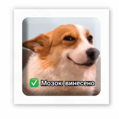 3D-стікер Мозок винесено
