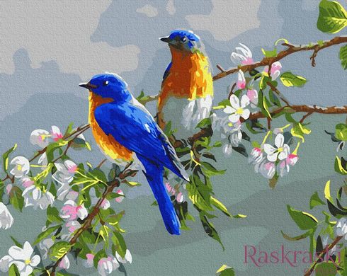 Картина по номерам Сакура и птицы (BRM26173) фото интернет-магазина Raskraski.com.ua