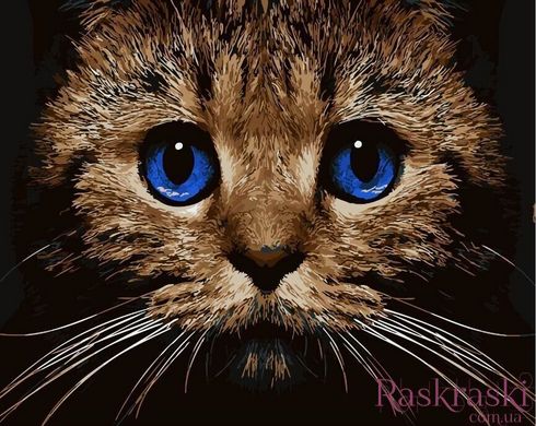 Полотно для малювання Котячий погляд (BRM21674) фото інтернет-магазину Raskraski.com.ua