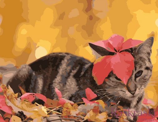 Картина раскраска Котик с листочком (SR-SY6728) Strateg (Без коробки)
