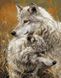 Картина по номерам Волчья нежность (BRM8873) — фото комплектации набора