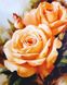 Картина алмазна вишивка Букет чайних троянд ТМ Алмазная мозаика (DM-037) — фото комплектації набору