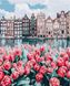 Раскраска по цифрам Тюльпаны Амстердама (PGX25449) Brushme Premium — фото комплектации набора