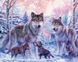 Алмазна вишивка Сім'я вовків з вовченятами My Art (MRT-TN028) — фото комплектації набору