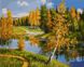 Раскраска по цифрам Осень в лесу (AS0990) ArtStory — фото комплектации набора