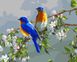 Картина по номерам Сакура и птицы (BRM26173) — фото комплектации набора