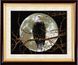 Алмазная техника Орел под луной (полная зашивка, квадратные камни) Dream Art (DA-30238, Без подрамника) — фото комплектации набора