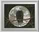 Алмазна техніка Орел під місяцем (повна зашивання, квадратні камені) Dream Art (DA-30238) — фото комплектації набору